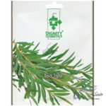 ماسک صورت عصاره درخت چای سبز دیگنیتی